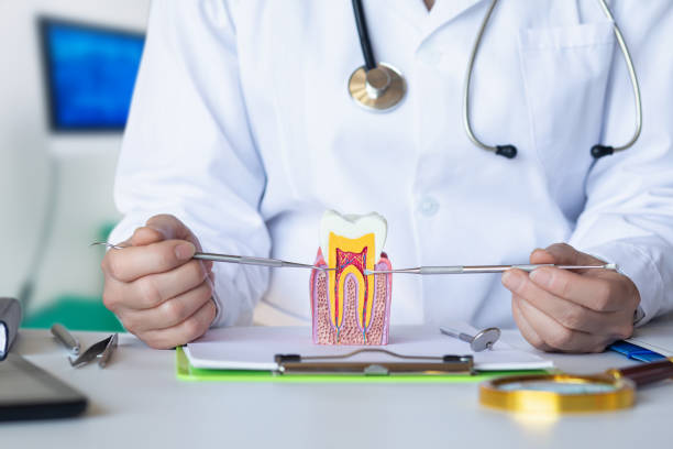 Best Orthodontic Emergency Dentist in Homer, AK